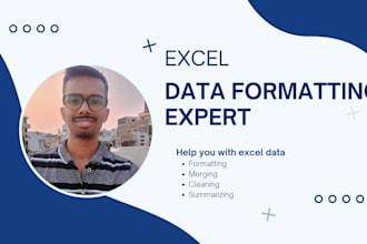 clean, format, merge, summarize, organize your excel data