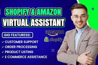 be your ecommerce amazon ebay shopify store manager VA