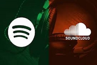 do organic promotion for your soundcloud, bandcamp and spotify music playlist