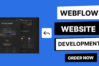 develop custom webflow website, redesign, landing page site for business owners