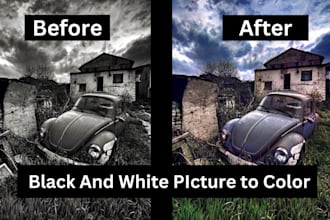 colorize and enhance your black and white pictures