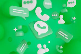 grow whatsapp channel, bulk sms promotion, whatsapp ads to real organic growth