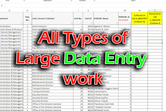 provide expert data entry and translation english urdu azerbaijani