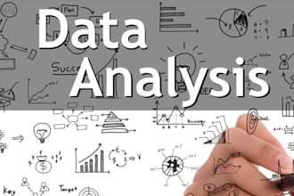 do statistical data analysis, r code, spss, stata, nvivo, python programming