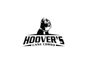 make professional new pet care company logo