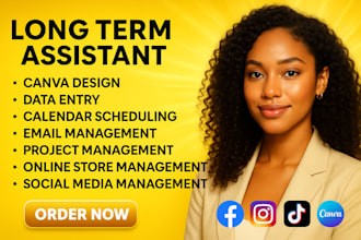 be long term virtual assistant executive assistant email calendar management