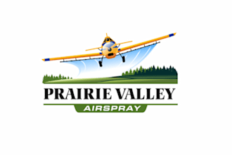 design high quality airplane logo with free source file