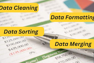 do excel data cleaning, formatting, splitting, merging, and sorting