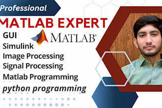 do professional matlab programing, simulink, image and signal processing