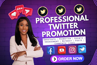 promote shoutout website share link to 10m twitter fb ig yt crypto nft audience