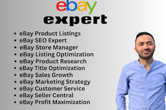 do ebay dropshipping, inventory management, and store optimization