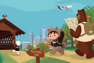 be your salesforce developer or administrator, as you need