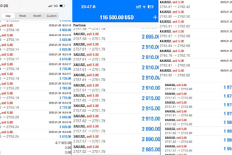 setup profitable decentralized system, forex trading bot, forex robot, trading