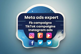 pro digital marketing manager for fb insta tiktok meta ads