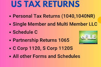 prepare and e file US tax returns for individual and business 1040,1120,1065