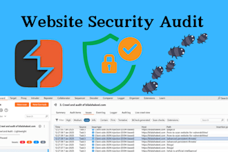 perform penetration testing and vulnerability scan for websites