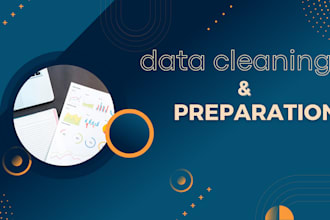 professional data cleaning and preparation services accurate and efficient