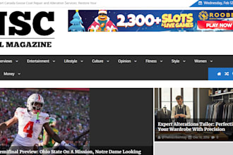 do guest post on theinscribermag,com, usawire,com, laprogressive,com