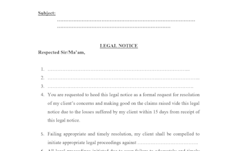 be your lawyer and draft your documents professionally