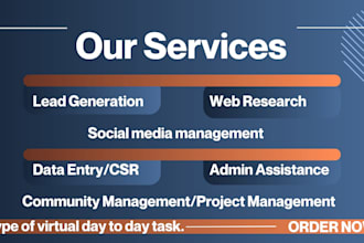 do data entry, web research and social media management