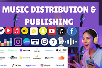 distribute your music to all streaming digital platform music video distrokid