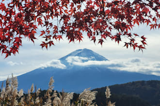 plan your trip to japan