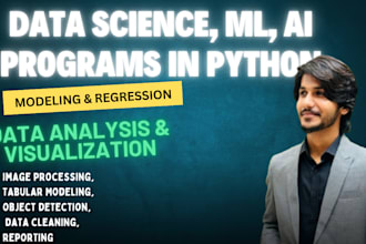 do any data analysis, ai, ml project in python in 24hrs