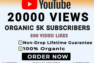 do 5k subscriber in your youtube channel organically