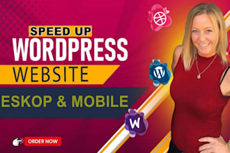 do wordpress speed optimization for google pagespeed insights