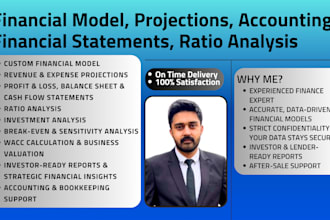 create financial model, projections, accounting, statements, ratio analysis