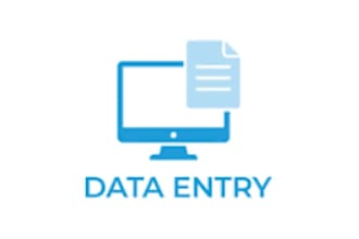 data entry for you with no mistakes at all