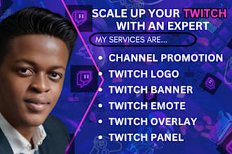 do professional twitch channel promotion