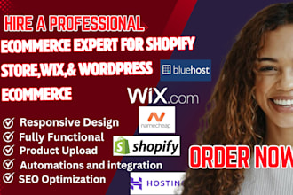 design passive income ecommerce  shopify store,shopify dropshipping website