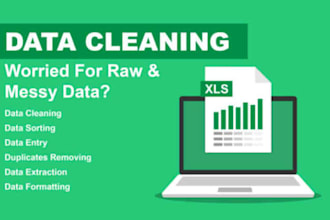 custom microsoft excel data cleaning and formating within 30 minutes
