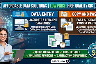 do professional data entry, copy paste, and web research at a low price