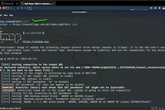 perform indepth vulnerability assessments and  pen testing