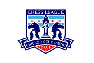 design chess company word mark logo