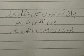 write notes, assignments, letters etc in beautifull hand writting