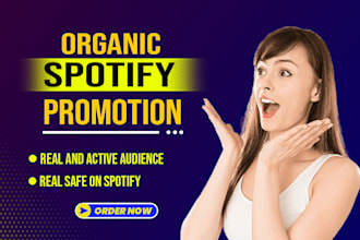 create ads for your spotify music promotion