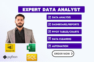 be your professional data analyst, power bi and excel expert
