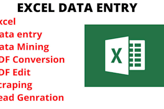do fast data entry typing work job, excel data entry and web research