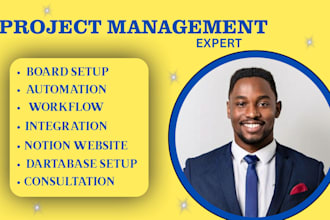 set up and automate workflows as monday expert monday CRM clickup and trello