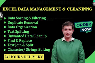 organize, clean, and format your excel data professionally