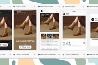 be your media buyer for fashion dropshipping stores