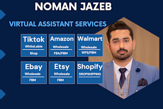 manage your tiktok, ebay, amazon and walmart store dropshipping to white label