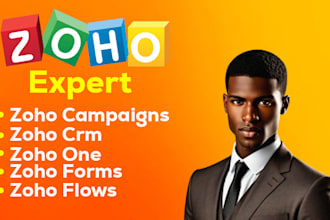 set up and automate zoho one, books, campaigns ,forms for your business