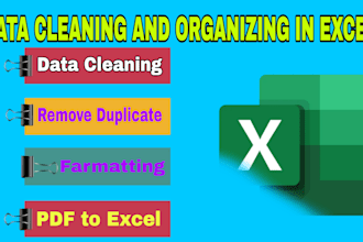 professional data cleaning and organizing in excel