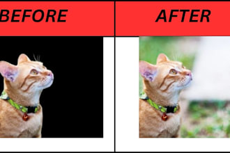 update improve redo cleanup enhance your existing logo
