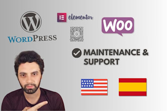 do wordpress maintenance, updates, and security for your website