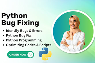 do python bug fixing and python programming of your projects